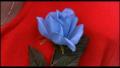 Avatar de Blue Rose