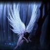 Avatar de HEAVEN