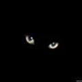 Avatar de sobredosis